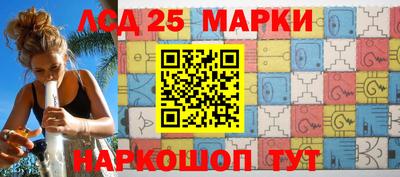 прущие грибы Краснодар