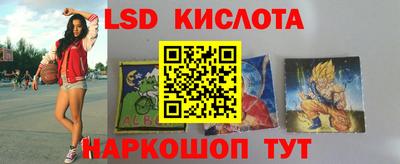 прущие грибы Краснодар