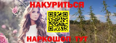 прущие грибы Краснодар