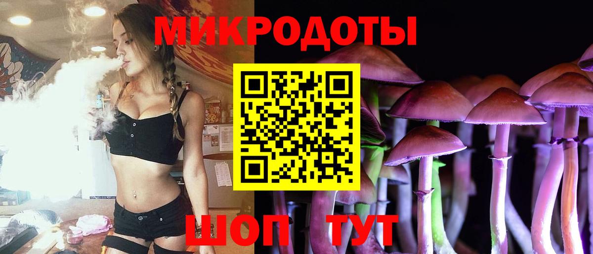 Галлюциногенные грибы Psilocybine cubensis Еманжелинск